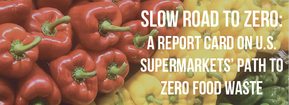 FIGHT FOOD WASTE